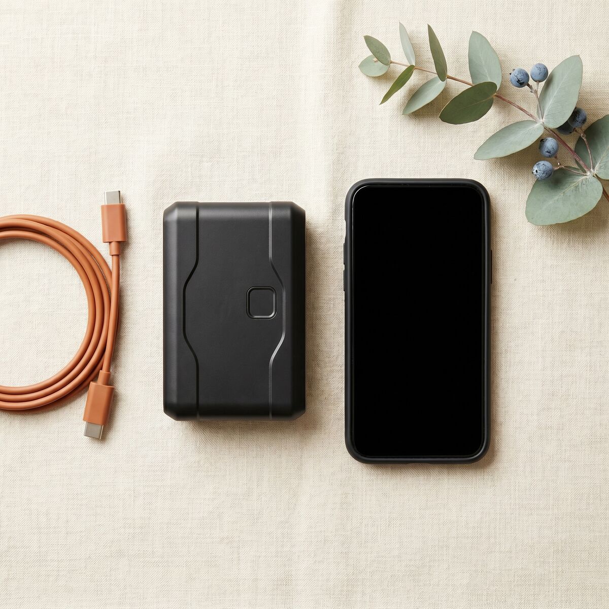 Overhead flat-lay on cream linen: the Locosafe Orb beside a coiled terracotta USB-C cable, a phone, and a eucalyptus sprig with blue berries